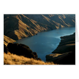 GEDÄMPFTE SCHLANGE: Dezember-Fluss