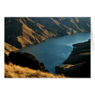 GEDÄMPFTE SCHLANGE: Dezember-Fluss