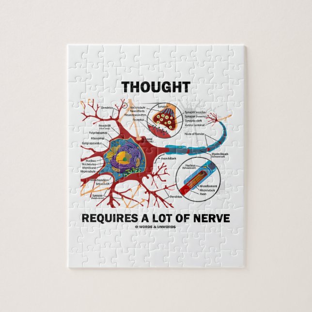 Gedanke erfordert viel Nerv (Neuron/Synapse) (Vertikal)