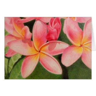 Gedanken an Plumeria
