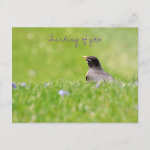 Gedanken an Sie Postkarte 