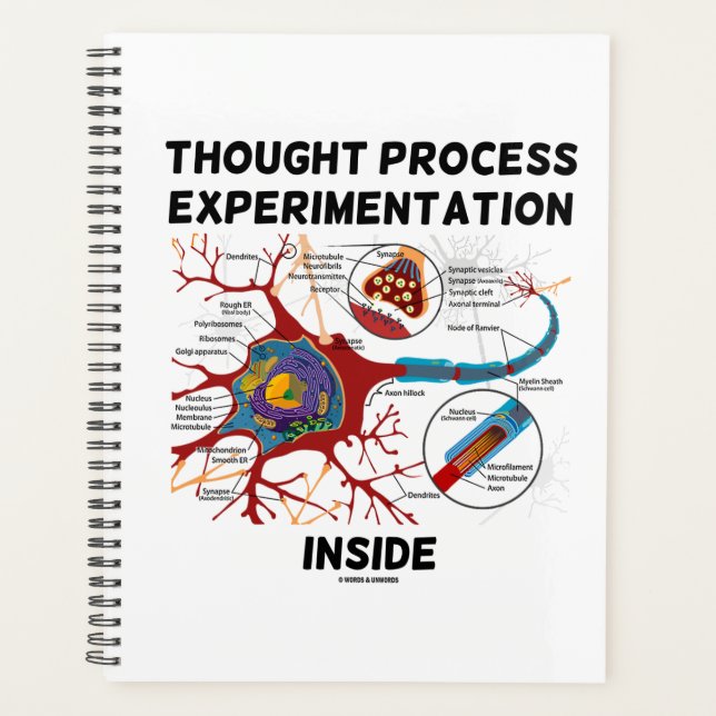 Gedankenexperimentelle Experimente in der Neuron-G Planer (Vorderseite)