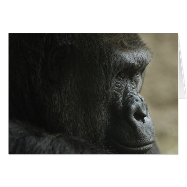 Gedankenverloren (Vorderseite (Horizontal))