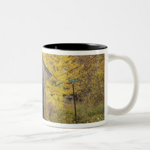 Gedeckte Brücke, Vermont, USA 2 Zweifarbige Tasse