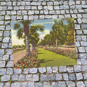 Gedenk Victory Drive Palmen Savannah GA Retro Postkarte