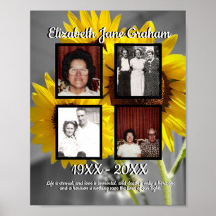 Gedenk Vier Foto Sonnenblume Hintergrund Poster