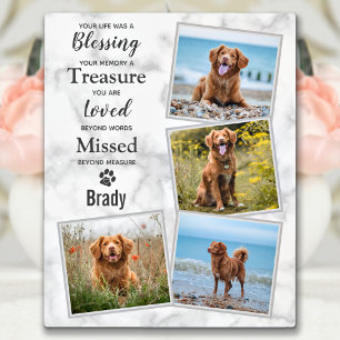 Gedenken an das Hundeschutzgepäck Fotoplatte