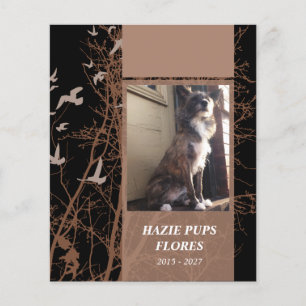 Gedenkkarten Silhouette Vögel