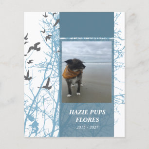 Gedenkkarten Silhouette Vögel