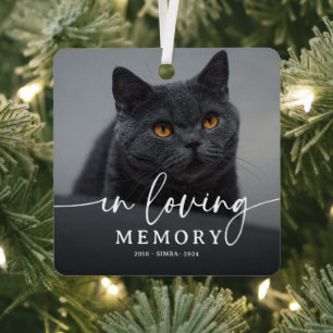 Gedenkskript Foto Katze Andenken Ornament Aus Metall