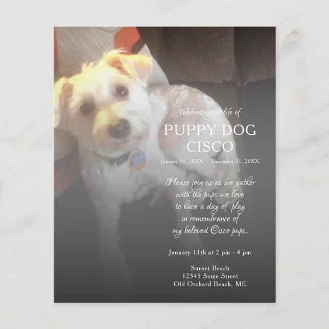 Gedenkstätte für das links Foto (Vorderseite)