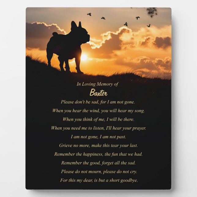 Gedenkstätte für den französischen Bull-Dog Fotoplatte (Vorderseite)