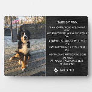 Gedenkstätte für Hunde in Gedächtniswahrnehmung Fotoplatte