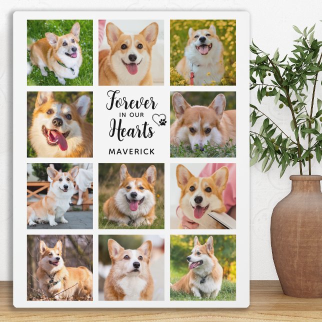 Gedenkstätte für Hunde in unserem Herz Fotoplatte (Von Creator hochgeladen)