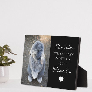 Gedenkstätte für niedliches Foto für Kinder Fotoplatte