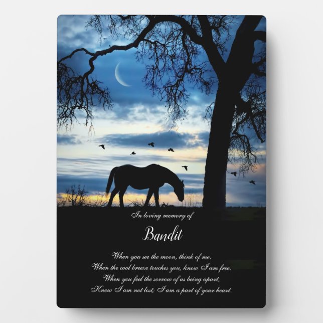 Gedenkstätte für spirituelles Gedicht "Horse Indiv Fotoplatte (Vorderseite)