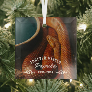 Gedenkstätte für verfehltes Foto Ornament Aus Glas