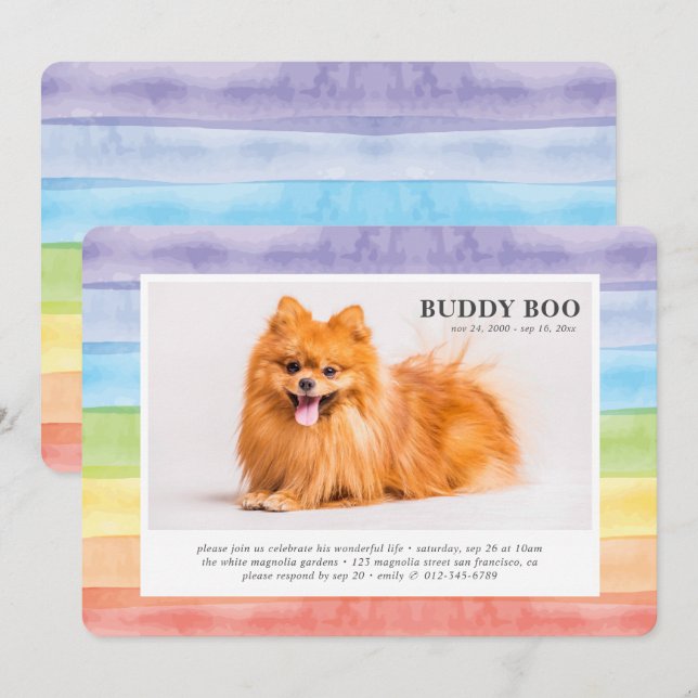 Gedenkstätte| Modern Watercolor Rainbow Pet Foto Einladung (Vorne/Hinten)