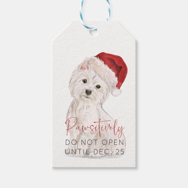 GEDENKT nicht öffnen Santa Dog BLANK Weihnachten Geschenkanhänger (Vorderseite)