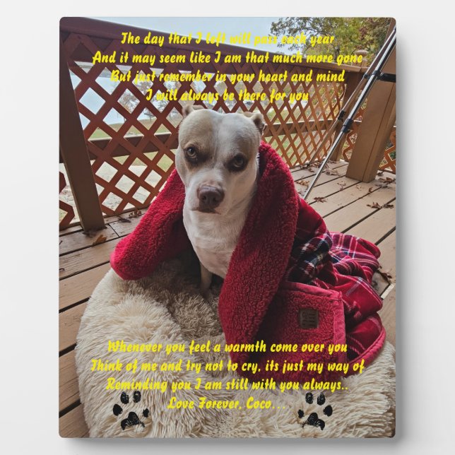 Gedenktafel Fotoplatte (Vorderseite)