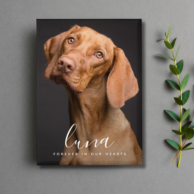 Gedenktribut an Foto Button (Pet Photo Memorial Button)