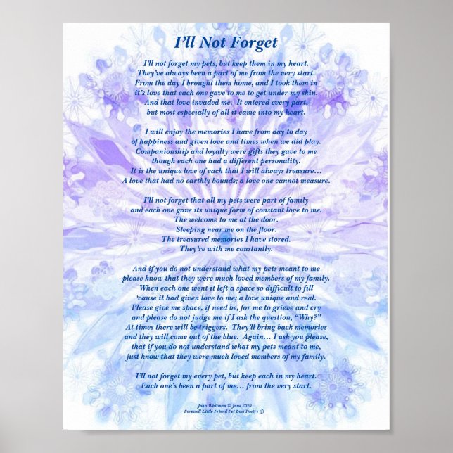 Gedicht: Besondere Erinnerungen eines Begleiters,  Poster (Vorne)