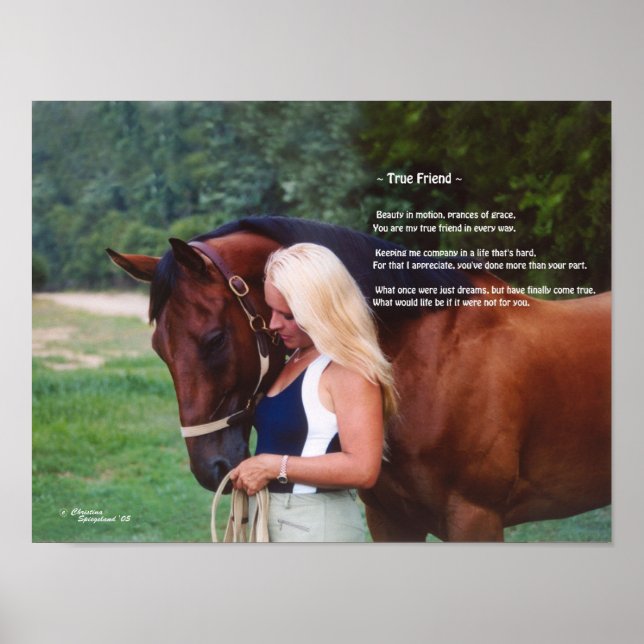 Gedicht "Horse Friend" drucken Poster (Vorne)