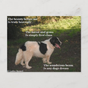 Gedicht Postcard Träumen von Ladee Basset Postkarte