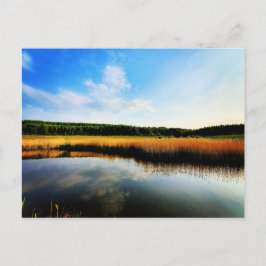 Gedling Country Park Postkarte