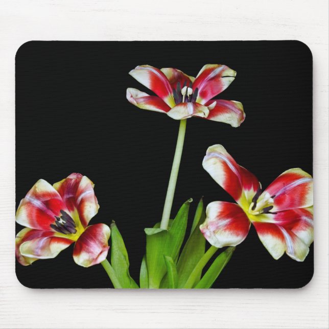 Gedreht Mousepad (Vorne)