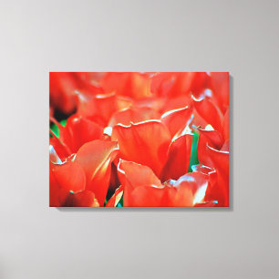Gedruckte Leinwand Tulpen