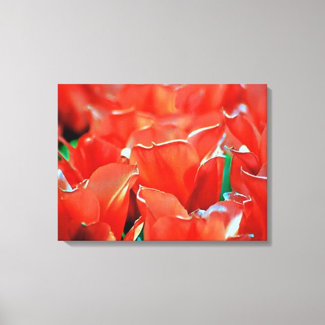 Gedruckte Leinwand Tulpen  (Vorderseite)