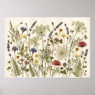 Gedrückte Wildblumen Botanisches Herbarium Kunst Poster
