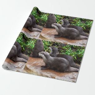 **"Geduld am Wasser: Zwei kleine graue Otters Geschenkpapier