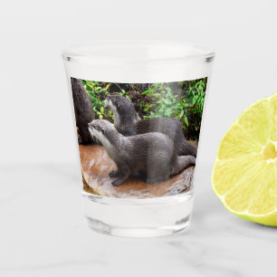 **"Geduld am Wasser: Zwei kleine graue Otters Schnapsglas