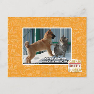 Geduld, Grasshopper. Postkarte