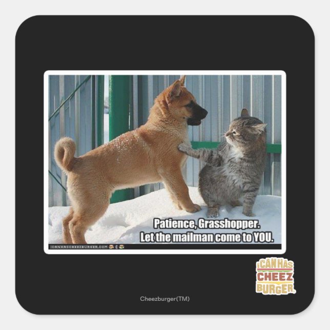 Geduld, Grasshopper. Quadratischer Aufkleber (Vorderseite)