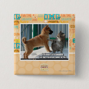 Geduld, Heuschrecke Button