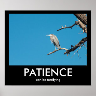 GEDULD, kann Demotivational Plakat erschrecken