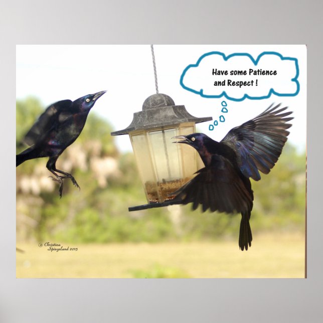 Geduld Respekt Ravens Crows Vogel Print Poster (Vorne)