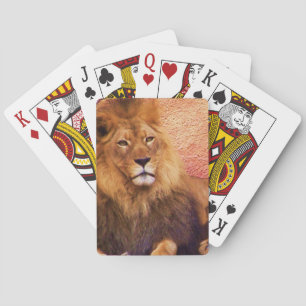 Geduld Spielkarten