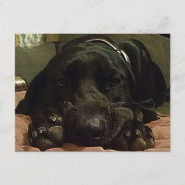 geduldig Gewartet Postkarte