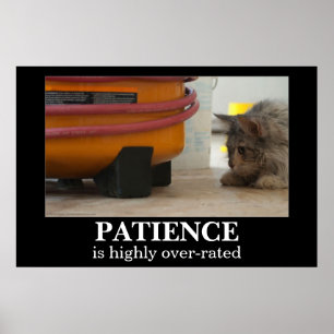 Gedulds-Katze und MausDemotivational Plakat