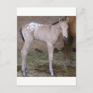 geeignet postkarte