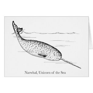 Geeignete Narwhal Whale Einhorn des Meeres
