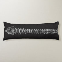 Geeky Dorn-Anatomie-Rückenmark-vertebrale Spalte