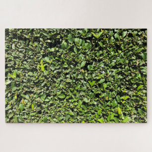 Geen-Hedge