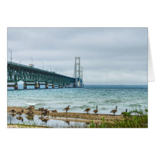 Geese auf Mighty Mac