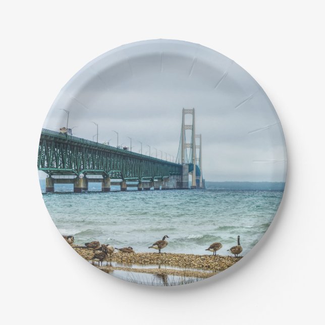 Geese auf Mighty Mac Pappteller (Vorderseite)