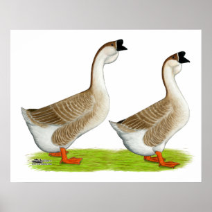 Geese:  Buff African Poster